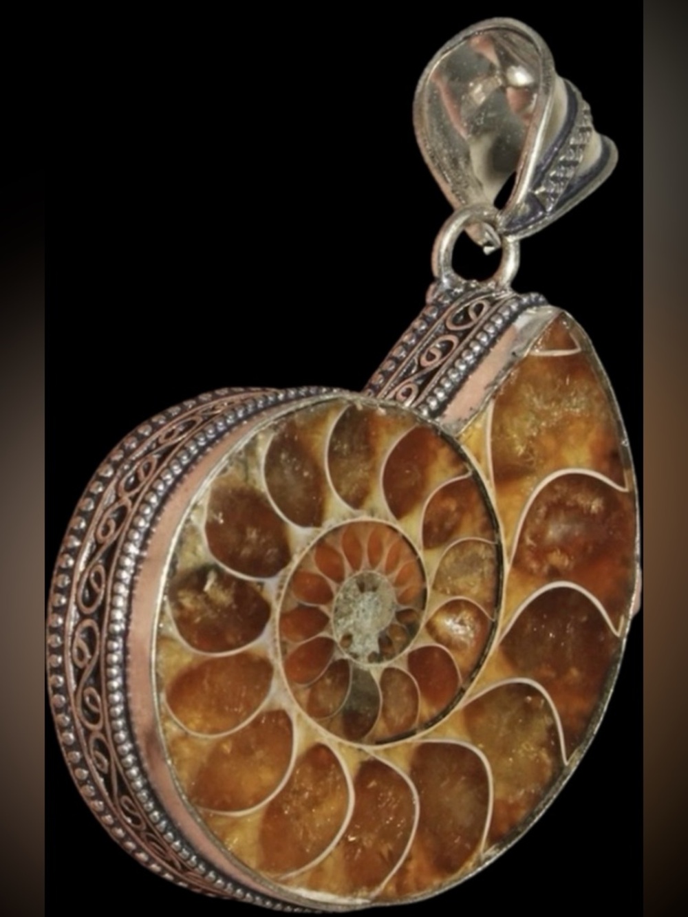 Elegant Real Ammonite Fossil Pendant